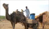 How parched villages save water in Rajasthan