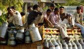 Rising milk prices: Common man suffers again