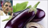 How Bt brinjal can kill Indian agriculture