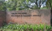 Average domestic salary up by 23% at IIM-A