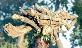 Naxals make RBI take to the skies