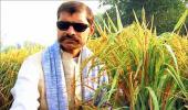 This farmer has the answer to India's food crisis