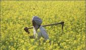 Soon, farmers can insure against losses from natural disasters