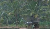 India likely to have near-normal monsoon