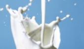 India struggles to meet milk demand