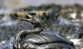 PHOTOS: World's 10 worst oil disasters