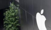 Stunning PHOTOS of Apple's new store in New York