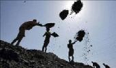 CIL eyes 15% stake in Aussie firm for $100 mn