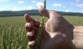 G-20 nations' meet to focus on food security