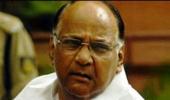 Dawood's surrender offer was conditional, so we rejected it: Pawar