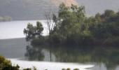 MoEF lifts moratorium on new projects in 8 areas