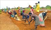 NREGA employed 4 crore people in 2010