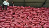 Raid unearths hidden stocks of 7,000 kg onions