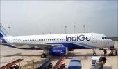 No talks with Qatar Airways on stake sale: IndiGo