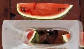 PHOTOS: India food chain in deep change!