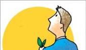 What are unit-linked pension plans?