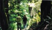 World's 10 greenest cities