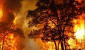 Why the situation in Europe is like a forest fire!