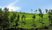 The curious case of Nilgiris, Ooty and Coonoor
