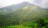 CIC orders report on Western Ghats be made public