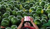 World food prices may hit record high in 2013