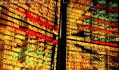 World's best and worst performing stock markets