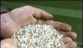 Fertiliser: Hike urea prices