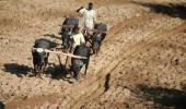 Budget 2012: Agriculture sector to get sops