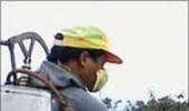 Budget: Excise duty hiked to 12 per cent on pesticides