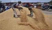 Govt favours suggestion to export 2 million ton wheat