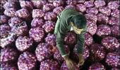 Govt puts stock limits on onion, potato to check prices