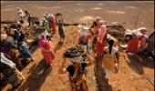 Govt approves NREGA job for 150 days