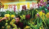 How Sikkim's flower industry is BLOOMING