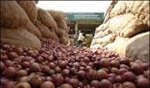 Onion prices remain high at up to Rs 70/kg