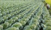 India's biggest problem: Scarcity of land