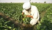 Land distribution: Jairam Ramesh bowls a googly