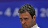 Rahul outlines strategy to contain price rise in 12 states