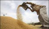 Commodity transaction tax on govt's agenda