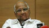 Pawar favours field trial of GM crops