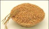 Withdraw export duty on de-oiled rice bran