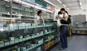 Twenty-five essential drugs to see 90% decline in prices