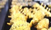 Seizure of smuggled gold zooms 365% in Q1