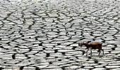 Centre to give Rs 1,208 crore to drought-hit Maharashtra