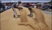 India seeks a deal that addresses food security concerns