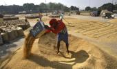 India seeks 'visible outcomes' on food subsidies