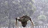 Monsoon to hit country on June 3: Met department