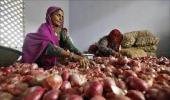 Congress's politics over onions makes the public cry