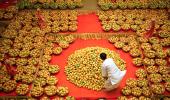 Indian mangoes offered to Cameron as EU ban looms