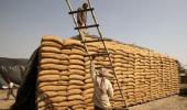 Global foodgrain prices slump to 6-month low