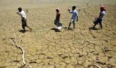 Climate change: Adaptation cost in developing nations is huge